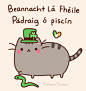 Pusheen the cat : =＾● ⋏ ●＾= Meow! I am Pusheen the cat. This is my blog. (more...)