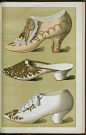 1900年出版的《十九世纪女鞋》，Greig, T. Watson绘制。 ​​​​
