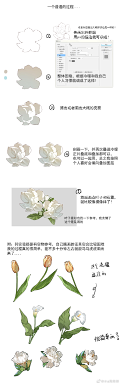 U鼬子采集到教程