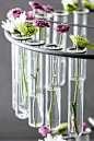 化学实验玻璃瓶搭配绿植花草，理性间的柔情