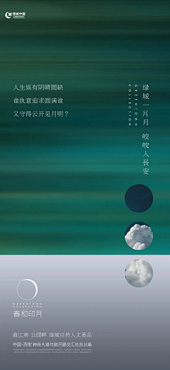 行业大牛采集到版式--海报