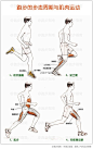【跑步的步态周期与肌肉运动】跑步中我们会经历四个步态周期1、初次接触；2、站立期；3、起步；4、向前摆动期。每个动作我们都会用到各个部位的肌肉，这些肌肉也是我们经常容易受伤的部位。打开大图学习一下，跑步中每个步态周期所用到的肌肉吧，科学的认识，有助于伤害的发生和预防。