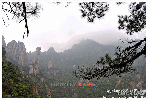 “巨蟒出山”(江西·三清山):多图, 我...