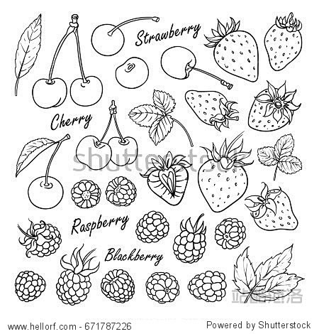 Set of vector fruits...