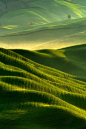 Tuscany, Italy
Pawel Kucharski