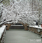 摄影：南浔古镇雪景(3)