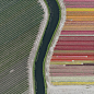 017-Tulip Fields by Bernhard Lang