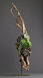 Driftwood + Succulents: 