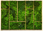 超酷，好用的绿植墙面 （可以当贴图用） 6552812
