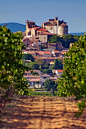 Through the vines to the Chateau