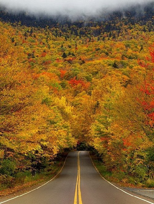 图片：秋天是条让人不想走完的路 (8)