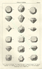 gem stones illustration, 1950s