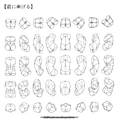 贝吉他采集到【人体】解剖-速写结构-绘画体型