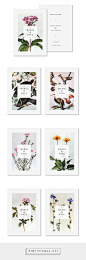 Love, love, love... Botanical branding, from Marie et Paul: 