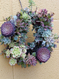 Living Wreath    生活圈