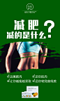 微商/茶小雄/减肥瘦身/平面海报