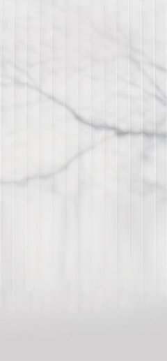 卡卡_范采集到素材丨白色背景