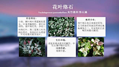 水歌歌采集到植物习性