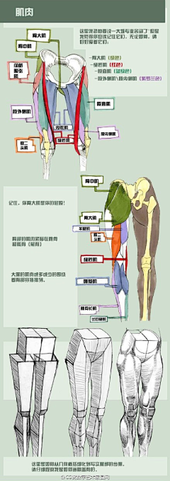 秋夜听雨眠采集到插画技法