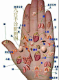 手心出汗肺脾虚，指肚泛红血脂高；
五指关节青筋暴，末梢循环定不好。
消化吸收看五指，指间有缝肠胃虚；
指甲竖棱肝病变，指根凸起大便差。
大鱼际，有深纹，心律不齐易心慌；
手腕延伸小鱼际，青筋明显会腰痛。
指甲颜色常泛白，记得补血补肾脏，
右手虎口手掌面，定位肝脏快又准。
视力不好有粗纹，有了细纹筋腱差，
手心颜色红青灰，胃部定是有疾患。
拇指指根纹理乱，胃部疾病早防范，
左手虎口手掌面，脾脏就是好判断。
早晚按揉健身体，口气清新免疫强，
女性乳腺看右手，手腕横纹摸两旁。

不平滑，有疙瘩，乳腺增生早预防，