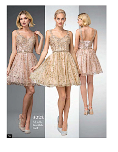 婚纱设计采集到美国晚会礼服行业画册 Lucy Franco 2020