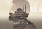 Sons of Gallipoli: Interactive Documentary : Sons of Gallipoli is a multi-layered, interactive documentary commemorating the 100th anniversary of the WWI Battle of Gallipoli. It follows the stories of two modern-day mothers – one Turkish and one Australia