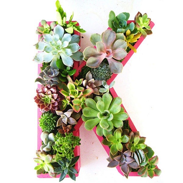 Monogram Succulent P...