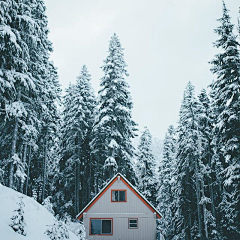 蕩失璐采集到雪景