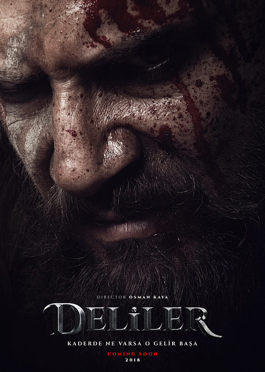 Deliler Movie Poster