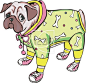 The vector EPS illustration of nice dressed dog (pug-dog) for a walk.