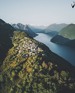 倾笑采集到风景