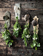 3 Rustic DYI Herb Crafts: Learn to Make a Home Decor Wreath, Dried Soup Holiday Gift and Tea Swags with Beautiful How-to Photography.
