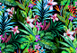 Midnight tropicals : some of my midnight tropical designs. there are plenty more! will put the out slowly.