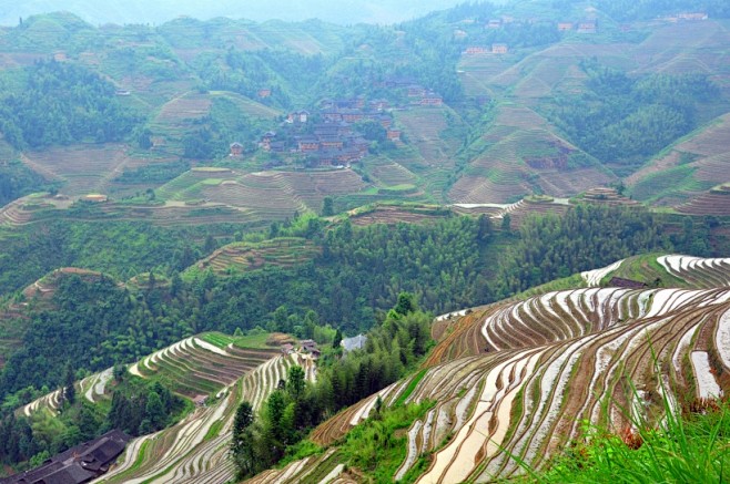 龙脊梯田