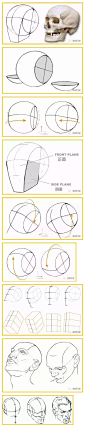 【干货】瞬间搞定头部造型、结构，看完这一篇就够了！