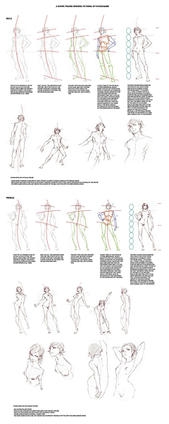 玩火尿炕采集到§R教学 —— 人体