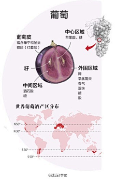 一只喜欢航海的猫采集到生活知识