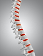 3D人体脊椎图封面大图 _素材-人体骨骼_T2019125 #率叶插件，让花瓣网更好用_http://ly.jiuxihuan.net/?yqr=11121103#