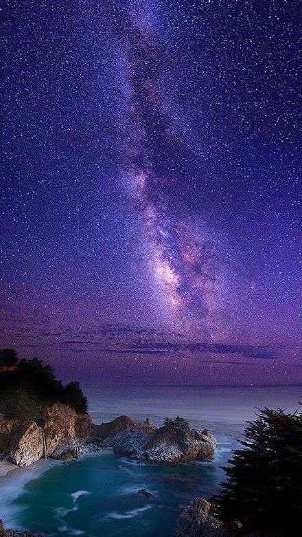 一生何其短暂，如流星之于夜空；生命何其卑...