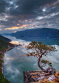 高山流水
心自知