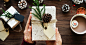 Brown Pinecone on White Rectangular Board · Free Stock Photo