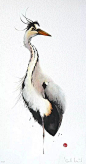 水彩画中的“鸟儿”，多姿多彩