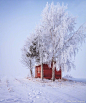 芬兰Lapua的雪景 
让你去住一个月，愿意吗？ ​ ​​​​