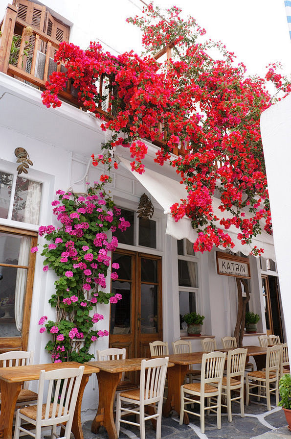 希腊海岛街景