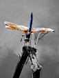 Photograph Dragon Fly by Mike Episcopo