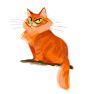 Daily Cat Drawings: 