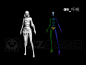 剑灵休闲女 剑灵动作 剑灵 BIP BIP动作 CS骨骼 max动画 3D动作-淘宝网