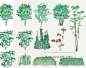 日本500种PSD水彩手绘园林植物草地灌木-平面图效果图后期..._免费下载_ZOSCAPE-园林景观设计意向图库|园林景观学习网 - 手机版 -
