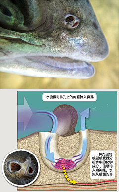 封畅采集到神奇的科学