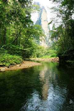 馒头佬采集到风景